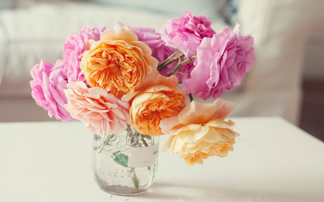 Flowers. Desktop wallpaper