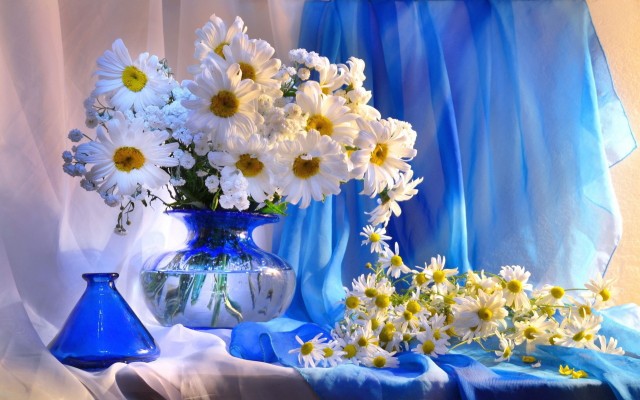Flowers. Desktop wallpaper