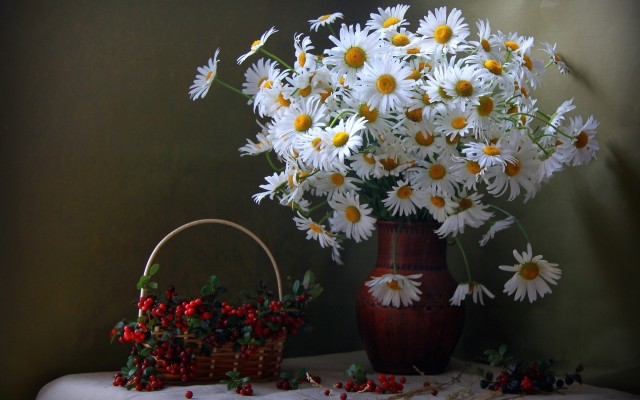 Flowers. Desktop wallpaper