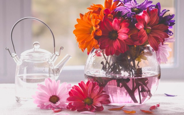 Flowers. Desktop wallpaper
