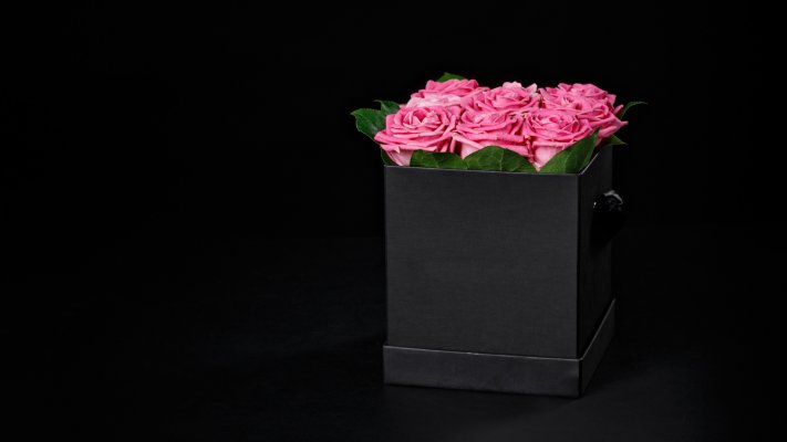 Flowers. Desktop wallpaper