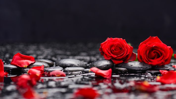 Flowers. Desktop wallpaper