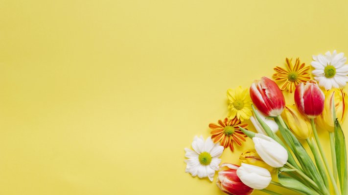 Flowers. Desktop wallpaper