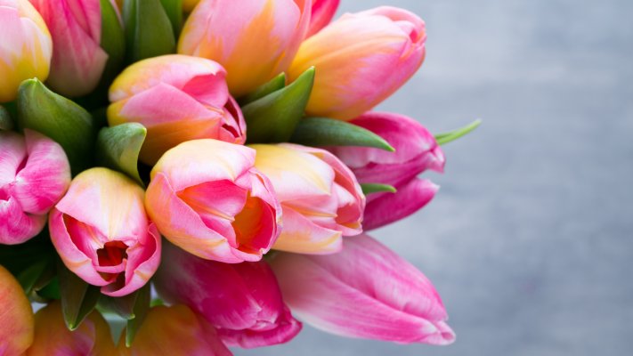 Flowers. Desktop wallpaper