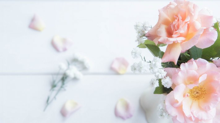 Flowers. Desktop wallpaper