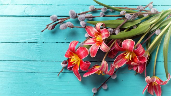 Flowers. Desktop wallpaper