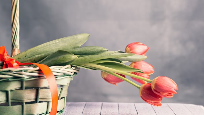 Flowers. Desktop wallpaper