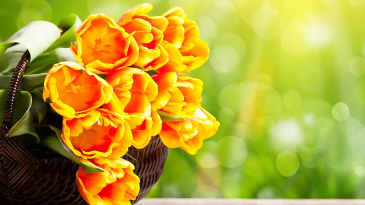 Flowers. Desktop wallpaper