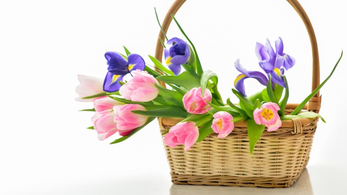 Flowers. Desktop wallpaper