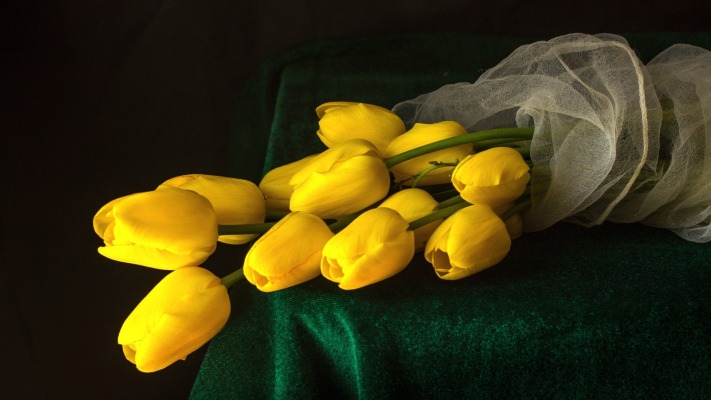 Flowers. Desktop wallpaper