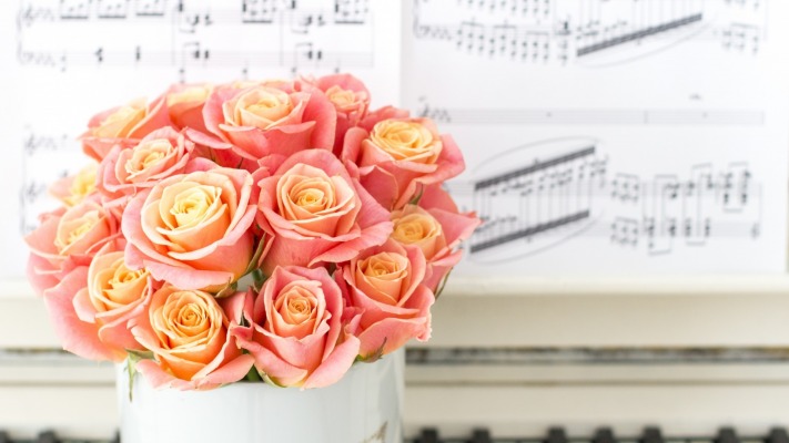 Flowers. Desktop wallpaper