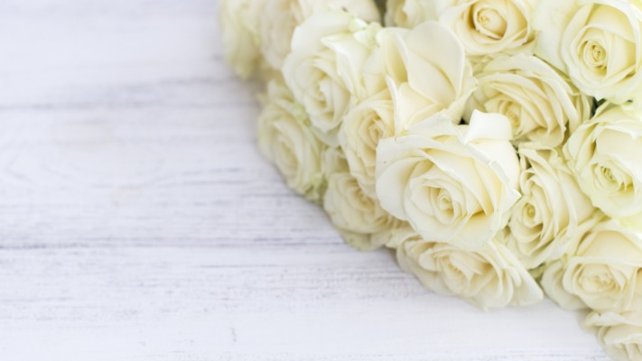 Flowers. Desktop wallpaper