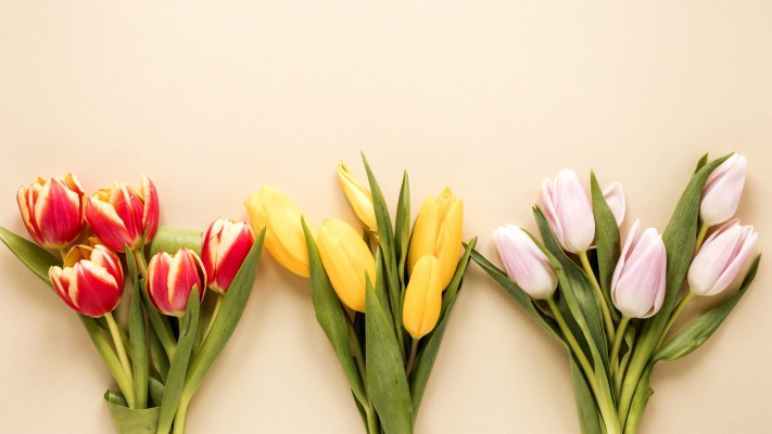 Flowers. Desktop wallpaper