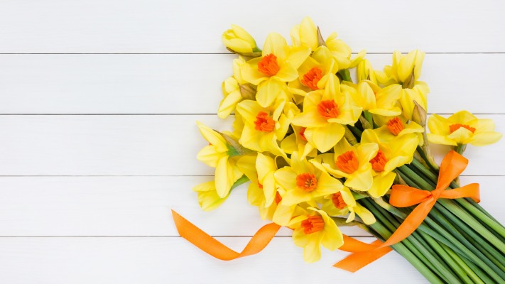 Flowers. Desktop wallpaper