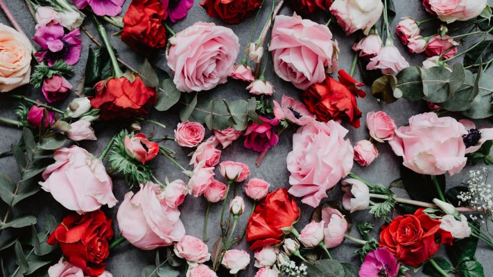 Flowers. Desktop wallpaper