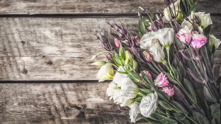 Flowers. Desktop wallpaper