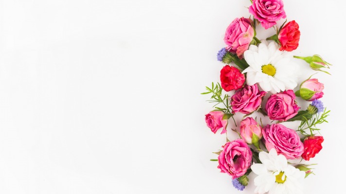Flowers. Desktop wallpaper