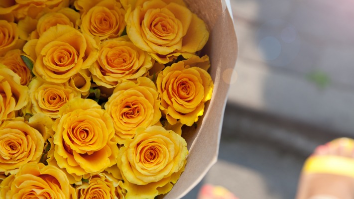 Flowers. Desktop wallpaper