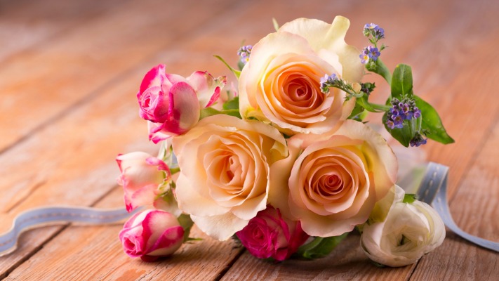 Flowers. Desktop wallpaper