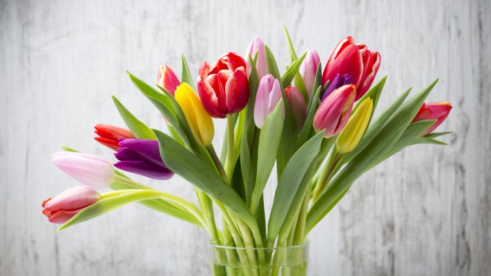 Flowers. Desktop wallpaper