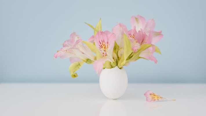 Flowers. Desktop wallpaper