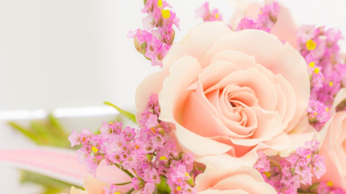 Flowers. Desktop wallpaper