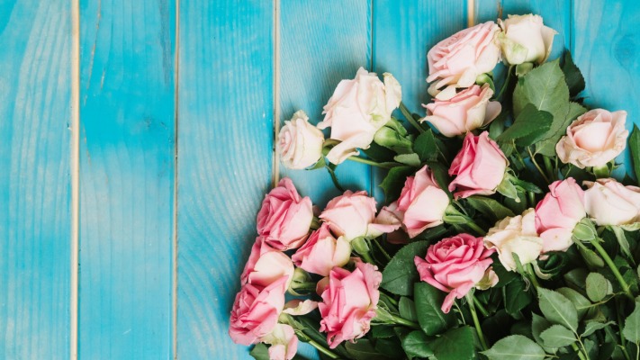 Flowers. Desktop wallpaper