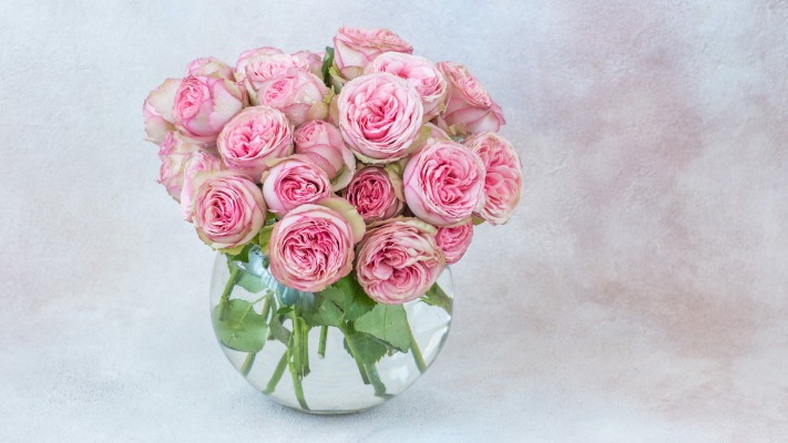 Flowers. Desktop wallpaper