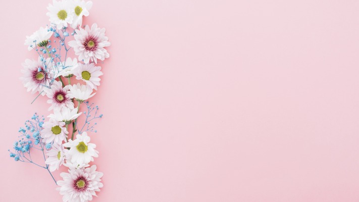 Flowers. Desktop wallpaper
