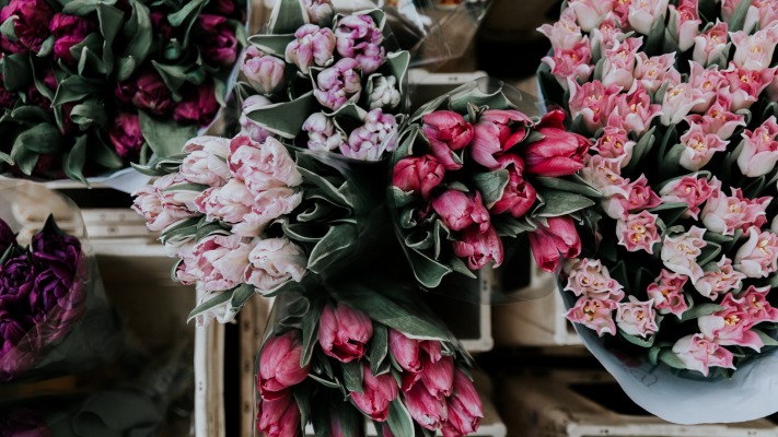 Flowers. Desktop wallpaper