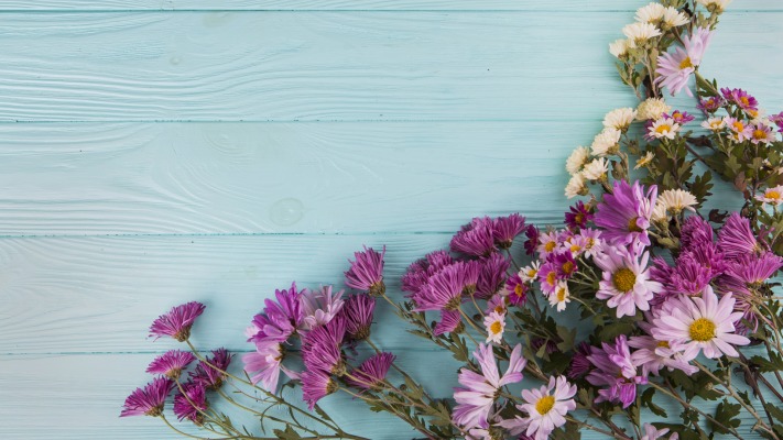 Flowers. Desktop wallpaper