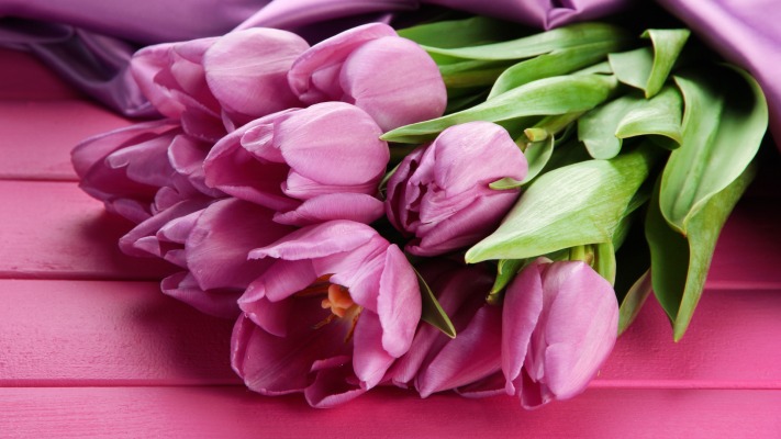 Flowers. Desktop wallpaper