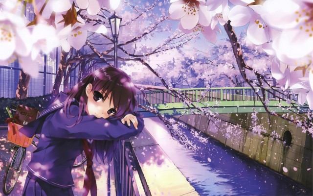 Anime. Desktop wallpaper