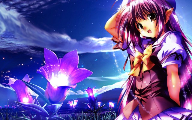 Anime. Desktop wallpaper