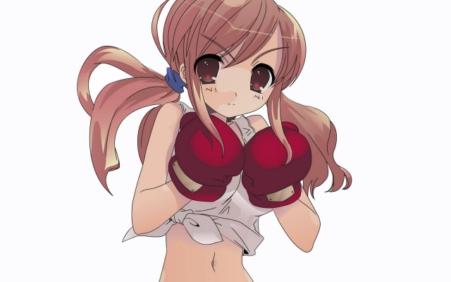 Anime. Desktop wallpaper