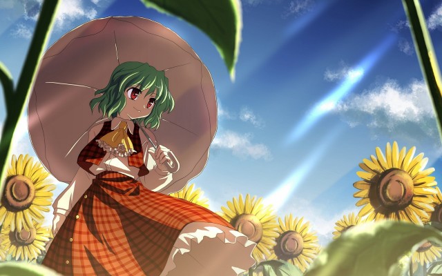 Anime. Desktop wallpaper