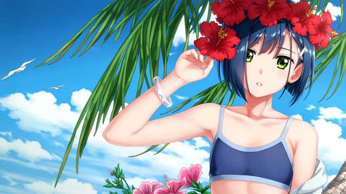 Anime. Desktop wallpaper