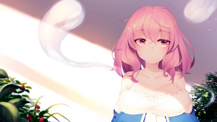 Anime. Desktop wallpaper