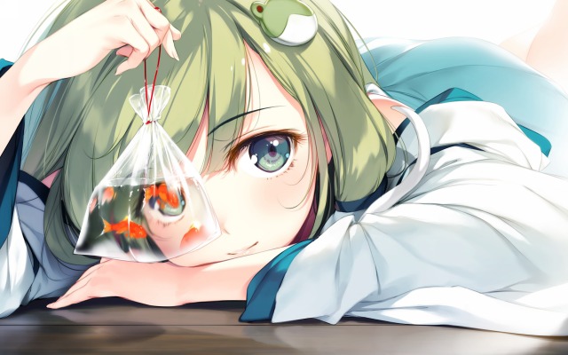 Kochiya Sanae. Desktop wallpaper