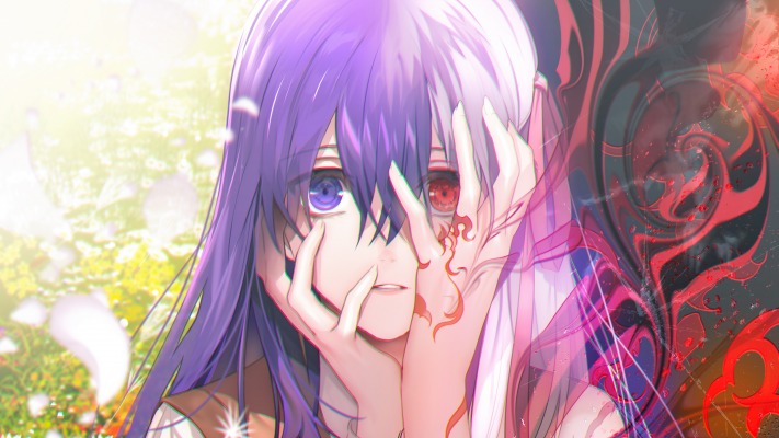 Matou Sakura. Desktop wallpaper