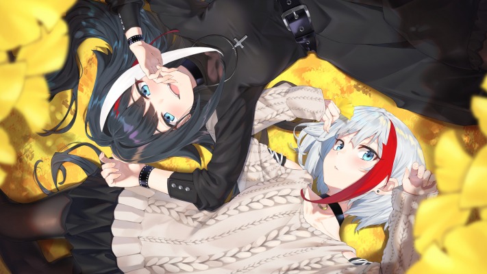 Admiral Graf Spee & Deutschland. Desktop wallpaper