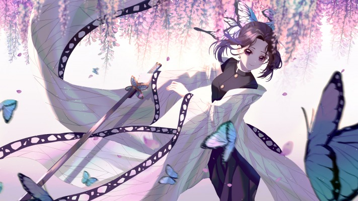 Shinobu Kochou. Desktop wallpaper