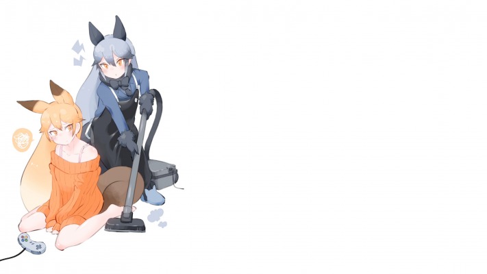 Red Fox & Silver Fox. Desktop wallpaper