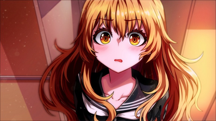 Aisaka Taiga. Desktop wallpaper
