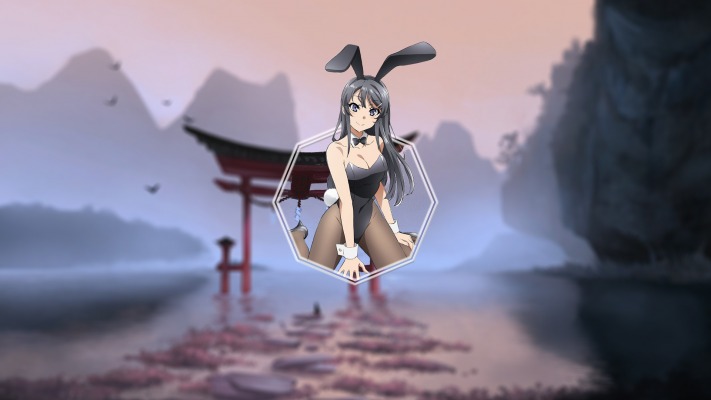 Sakurajima Mai. Desktop wallpaper
