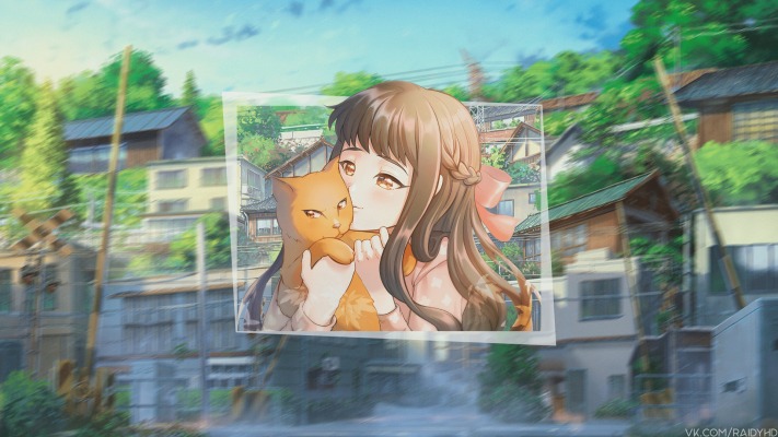 Tohru Honda. Desktop wallpaper