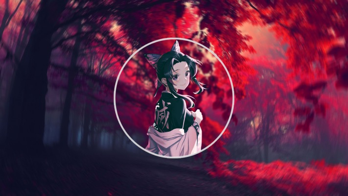 Shinobu. Desktop wallpaper
