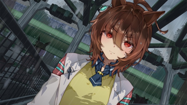 Agnes Tachyon. Desktop wallpaper