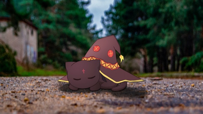 Chomusuke. Desktop wallpaper