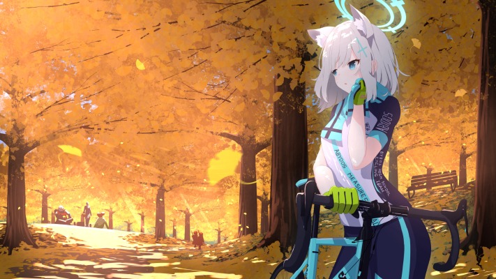 Shiroko. Desktop wallpaper